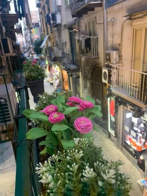 La Casa Di Patta A Spaccanapoli エクステリア 写真